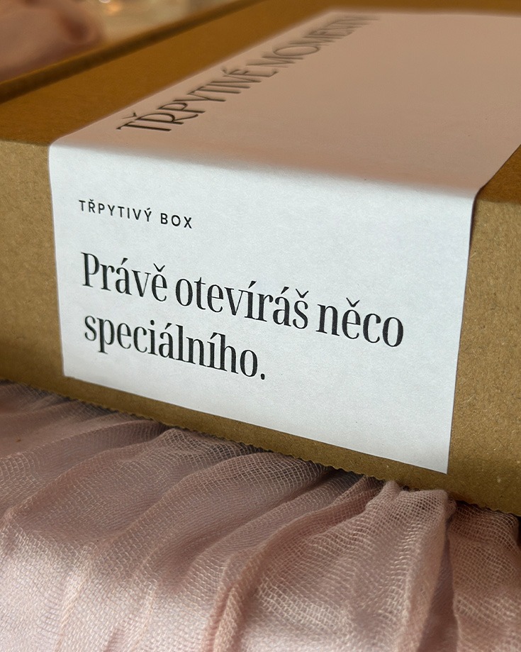 TŘPYTIVÝ BOX - Obrázek 4